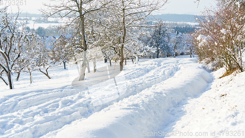 Image of cold winter snow scenery 