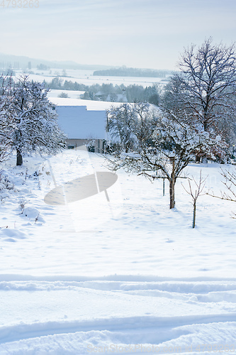 Image of cold winter snow scenery 