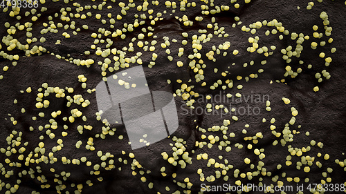 Image of Multiplication of the corona virus under the microscope