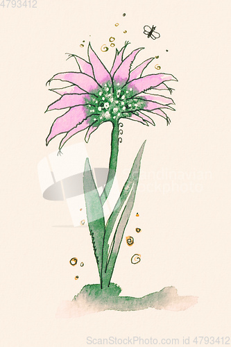 Image of strange pink flower with a fly