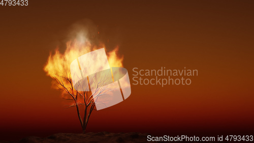 Image of the burning bush religious symbol with space for your content