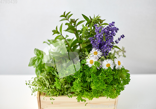 Image of green herbs and flowers in wooden box on table