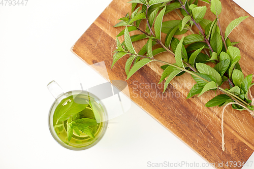 Image of herbal tea with fresh peppermint on wooden board