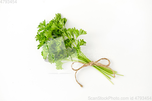 Image of bunch of parsley on white background