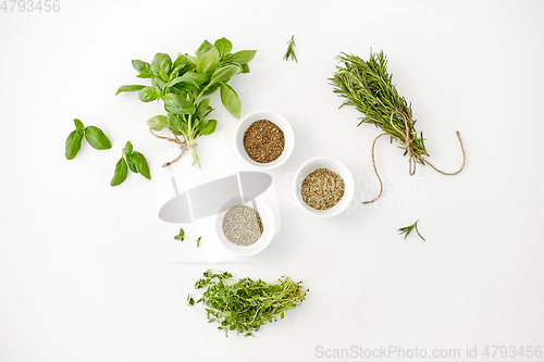 Image of fresh and dry seasoning on white background