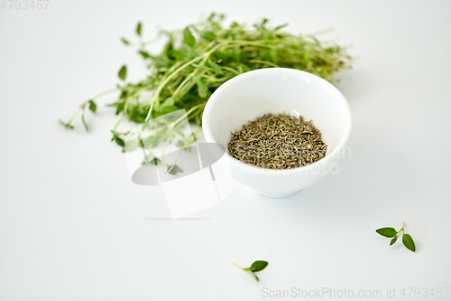 Image of fresh thyme and dry seasoning on white background