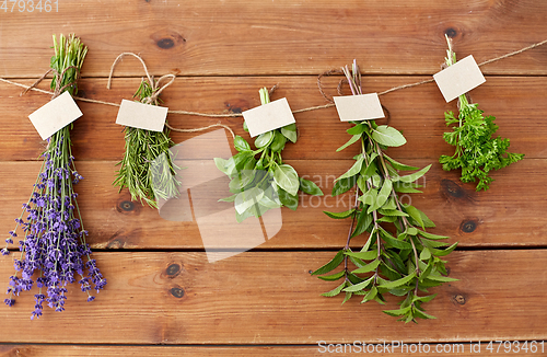 Image of greens, spices or medicinal herbs on wood