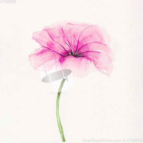 Image of watercolor painting of a pink blossom flower