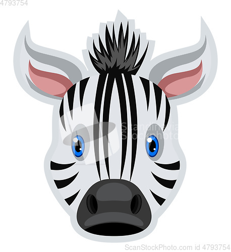 Image of Zebra, vector color illustration.