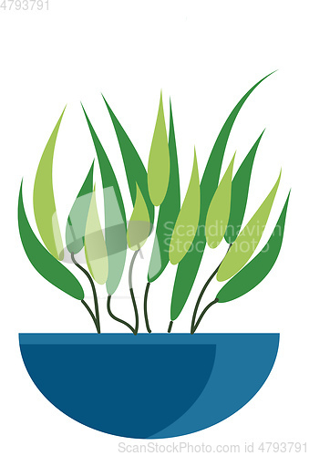 Image of A blue pot made from earthenware has a plant growing in it vecto