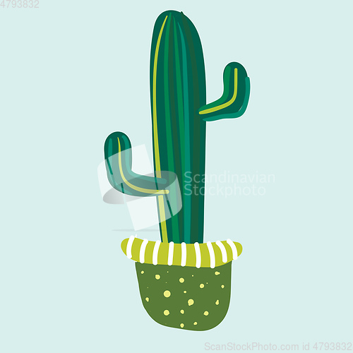 Image of Tall saguaro cactus plant in a green flower pot vector color dra