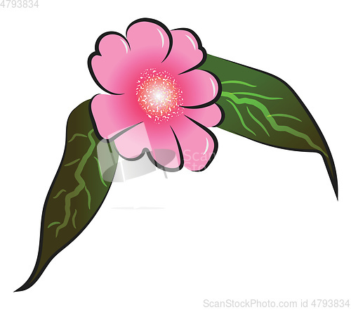 Image of Pink flower with leafs vector or color illustration