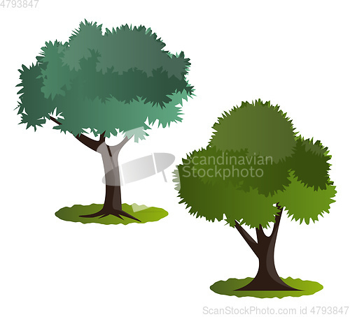 Image of Couple of green trees vector illustration on white background