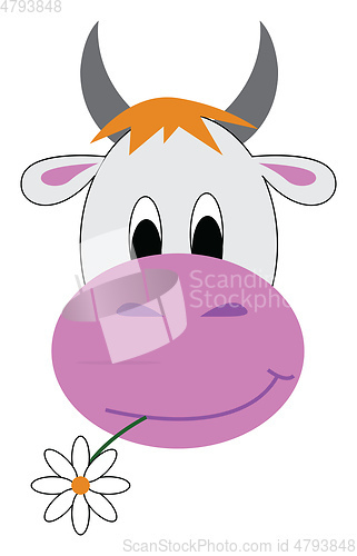 Image of Jersey cow with a flower in its mouth looks cute vector or color