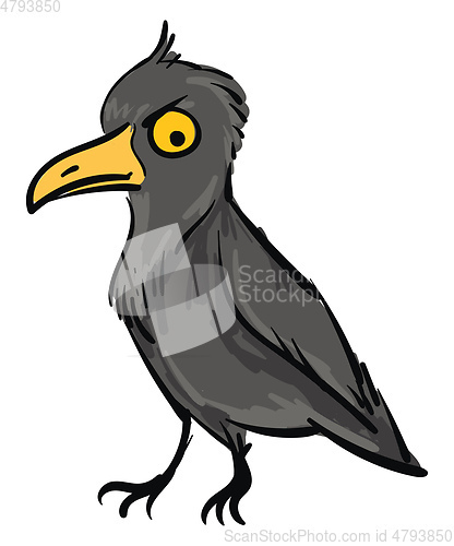 Image of Angry crow looking down illustration color vector on white backg