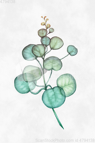 Image of watercolor green leaf