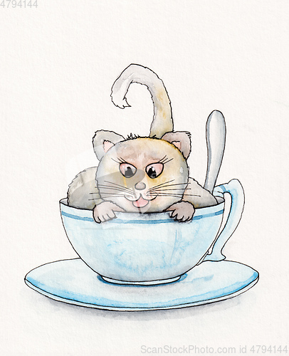 Image of sweet cat in a cup