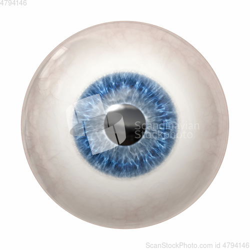 Image of blue human iris