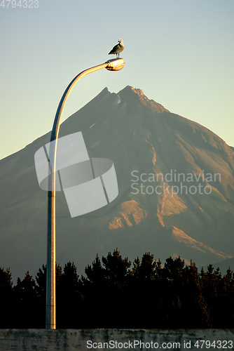 Image of Mt. Taranaki with street light