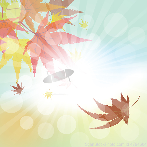 Image of Autumn  Frame