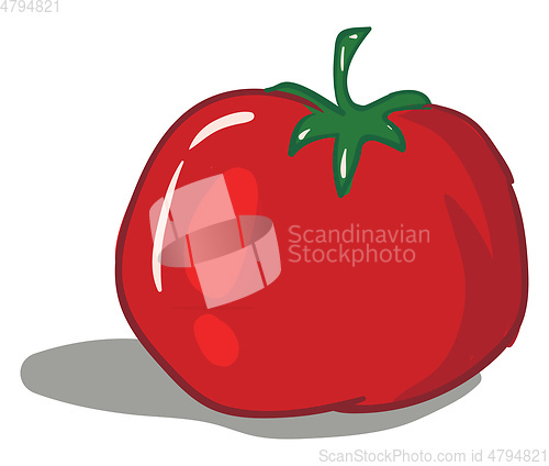 Image of Cartoon red tomato vector illustration on white background