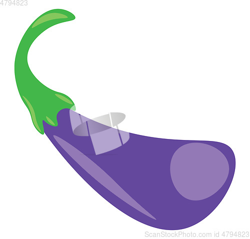 Image of Eggplant a small purple vegetable fresh from the farm land vecto