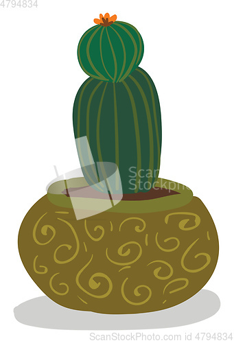 Image of A beautiful indoor decoration plant of cactus with a flower at i