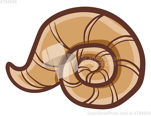 Image of A circular brown shell vector or color illustration