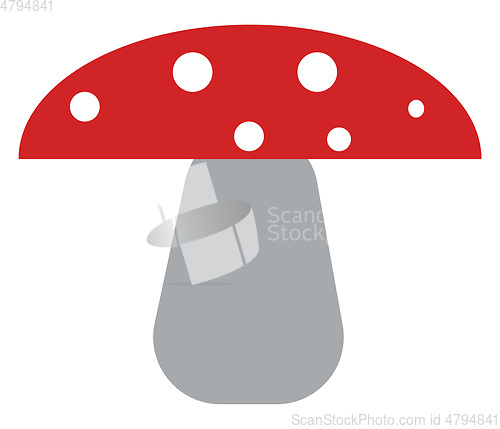 Image of A colorful mushroom plant vector or color illustration