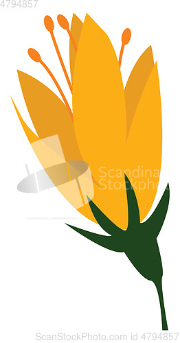 Image of Yellow individual flower with petals print vector on white backg