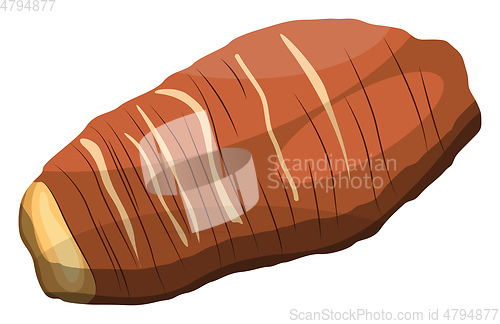 Image of Brown taro root vector illustration of vegetables on white backg