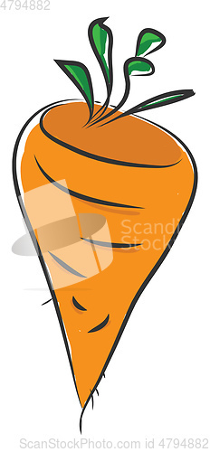 Image of Carrot, vector color illustration.