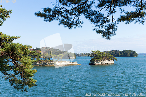 Image of Matsushima in sunny day