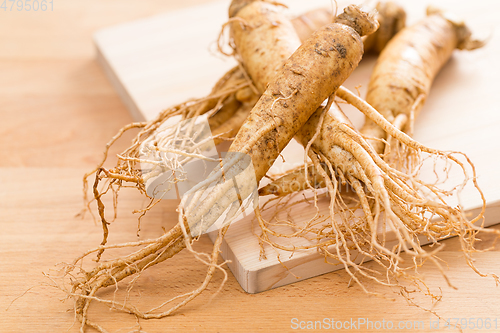 Image of Ginseng on wood background