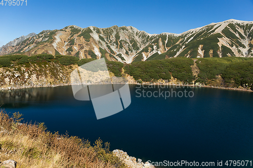 Image of Beautiful Mikurigaike pond 