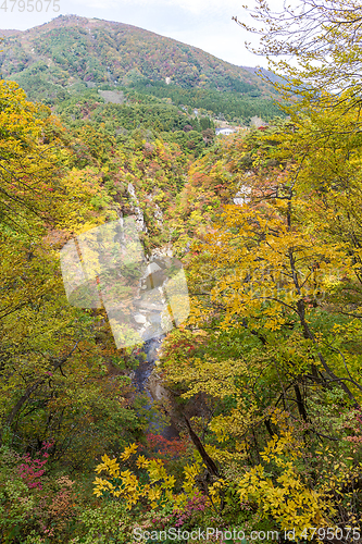 Image of Naruko canyon in autumn
