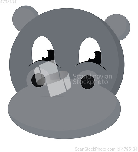 Image of Cartoon face of the baby hippopotamus vector or color illustrati