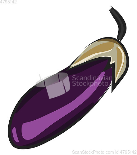 Image of A purple eggplant, vector color illustration.