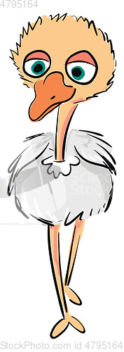 Image of Vector illustration of a cute baby ostrich on white background 