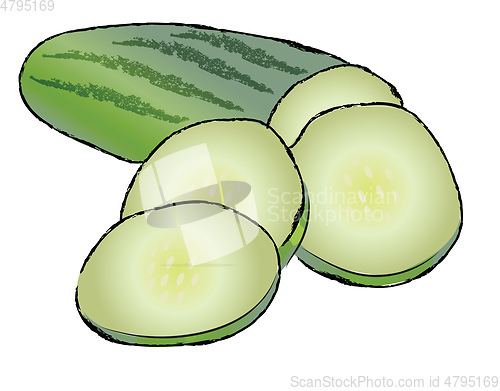 Image of Sliced cucumber for salad vector or color illustration