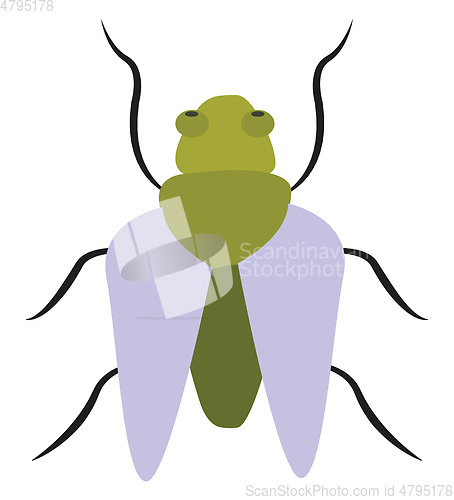 Image of Clipart of a light green bug vector or color illustration
