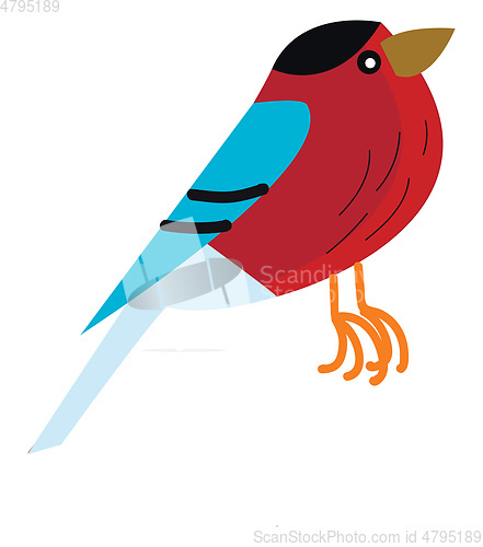 Image of A cute small colorful bird in red blue and black color vector co