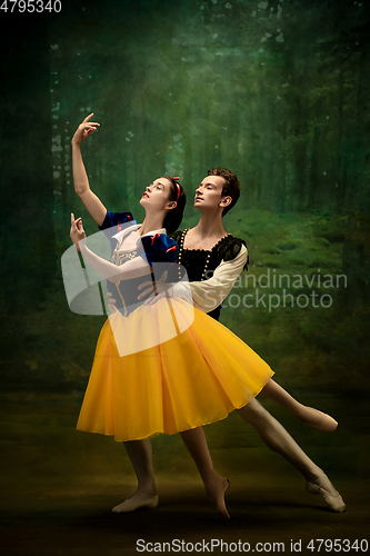 Image of Young ballet dancers as a Snow White\'s characters in forest