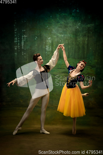 Image of Young ballet dancers as a Snow White\'s characters in forest