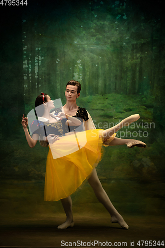 Image of Young ballet dancers as a Snow White\'s characters in forest