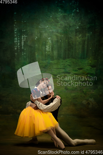 Image of Young ballet dancers as a Snow White\'s characters in forest