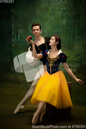 Image of Young ballet dancers as a Snow White\'s characters in forest