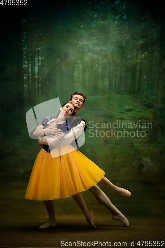 Image of Young ballet dancers as a Snow White\'s characters in forest