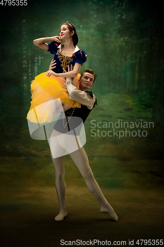 Image of Young ballet dancers as a Snow White\'s characters in forest