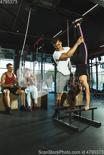 Image of A group of muscular athletes doing workout at the gym